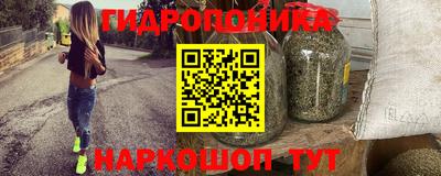 гидра Заводоуковск