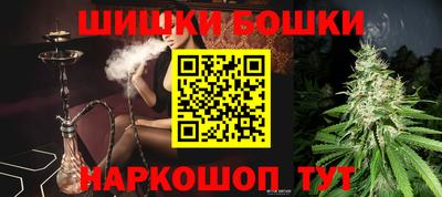 гидра Заводоуковск