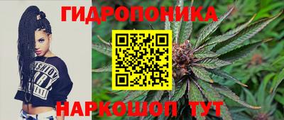 гидра Заводоуковск