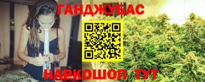 гидра Заводоуковск