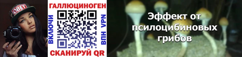Галлюциногенные грибы мицелий  дарнет шоп  Муравленко 